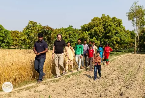 A homestay guest is visiting famous mango garden of Bangladesh