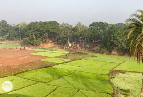 Beautiful village life of Northern Bangladesh during winter