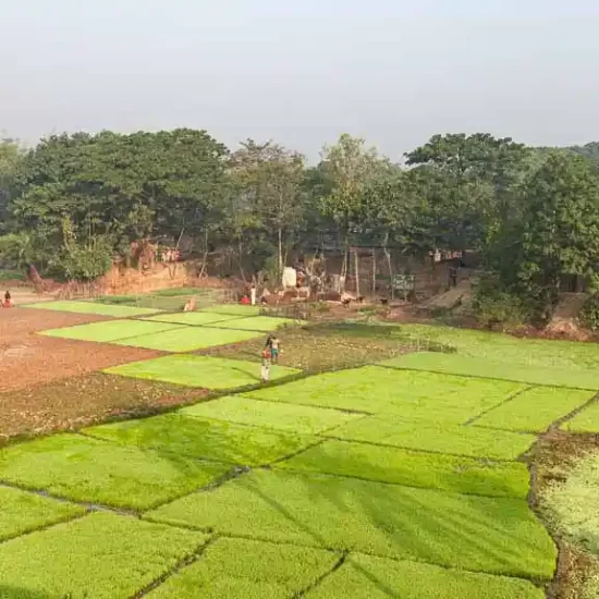 Beautiful village life of Northern Bangladesh during winter