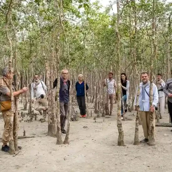 European architects had an adventurous jungle walk in sundarban