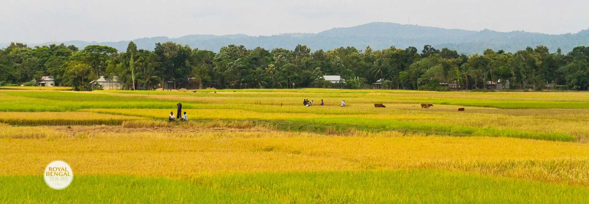 Homestay in Bangladesh