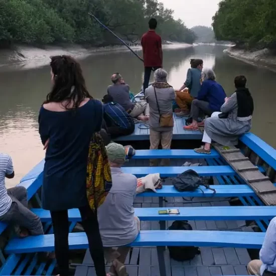 Late afternoon cruising through a creek in sundarban