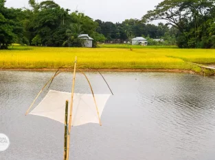 Most beautiful fishing and agricultural village in Bangladesh for homestay experience