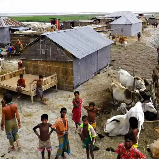 Raise settlements on the Brahmaputra River char