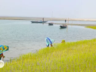 Shifting river islands are called char in Bangladesh