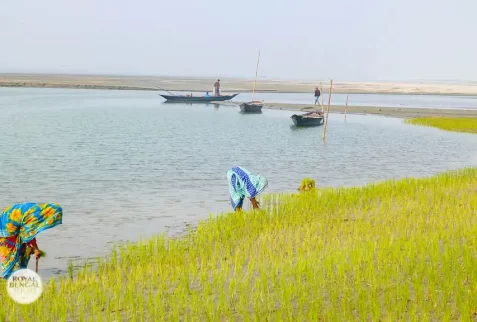 Shifting river islands are called char in Bangladesh