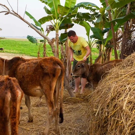 Village Homestay in Bangladesh