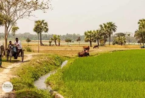 Visiting an agriculture farming village in Bangladesh during homestay trip