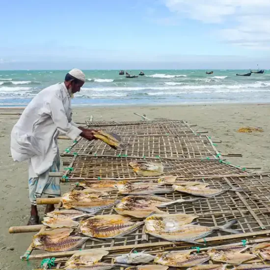 dont miss the dry seafish curry in saint martins island