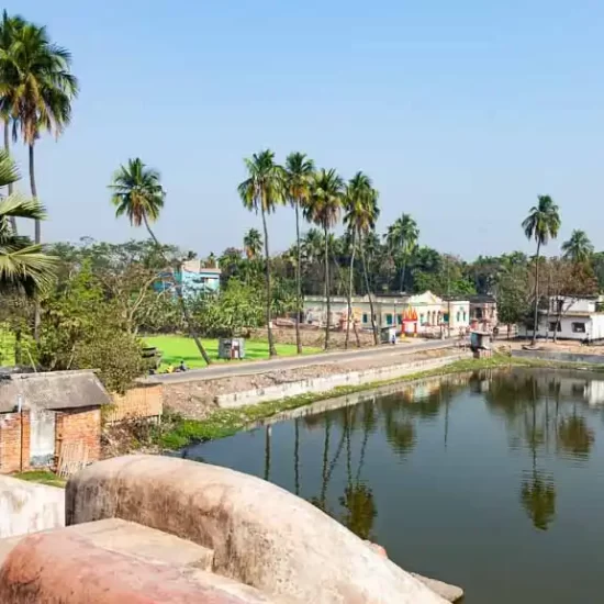 outstanding landscape view from puthia royal palace