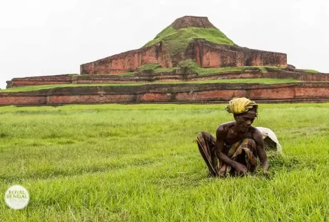 paharpur somapura mahavihara is a must visiting sites in Bangladesh