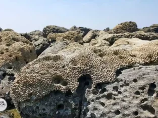 saint martins island has the alarming threat of climate change