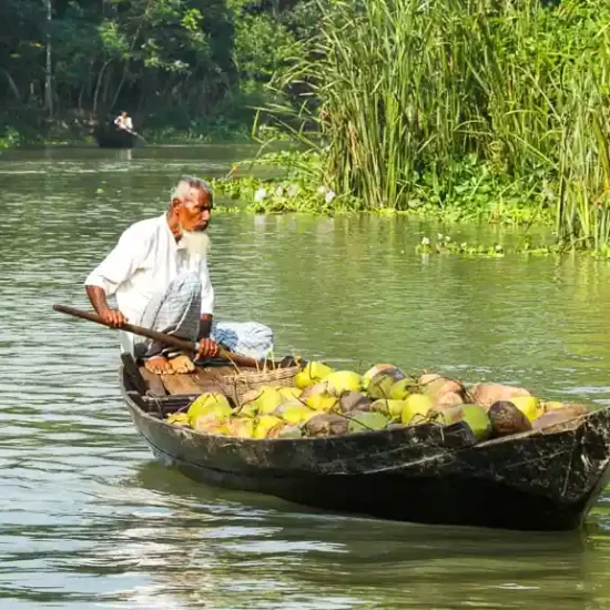 A farmer is on the way to a floating market in Barishal