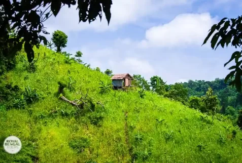 Adventurous Hiking trip to Chittagong hill tract with western tourists