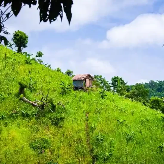 Adventurous Hiking trip to Chittagong hill tract with western tourists