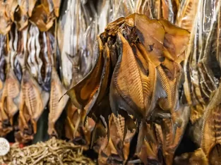 Best place to buy dried sea fish in coxs bazar