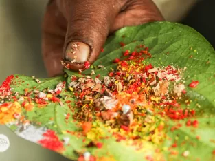 Bettel is the most common and traditional drug in Bangladesh