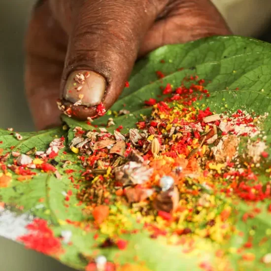 Bettel is the most common and traditional drug in Bangladesh