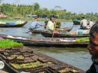 Early morning floating vegetable market in Barisal