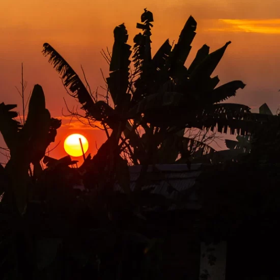 Enjoy the beautiful sunset from a heavenly village next to Baikka beel wet land and bird sanct