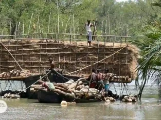 Explore the threatened Livelihood around sundarban forest