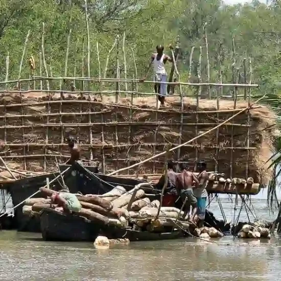 Explore the threatened Livelihood around sundarban forest