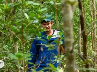 Exploring the deep of Sundarbans forest is a lifetime experience