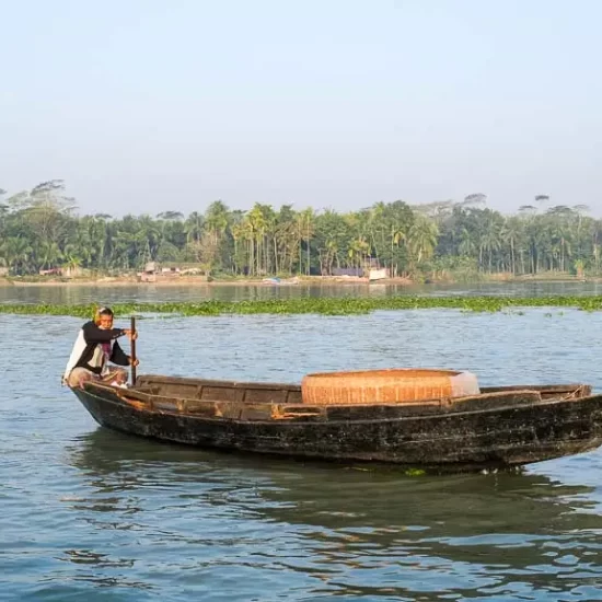 Floating rice market in the south of Bangladesh