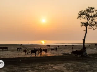 Serin kuakata sea beach for relaxation over the weekend