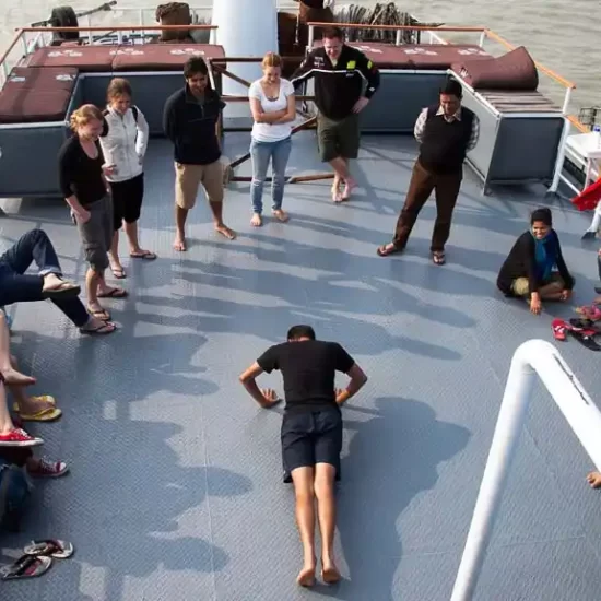 Tourist group enjoy the magical mangrove forest