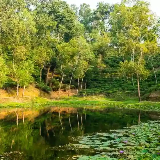 Uniquely madhabpur lake in the afternoon