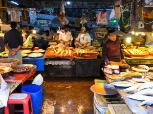 Visiting a mish market in Kawran Bazar during old dhaka trip