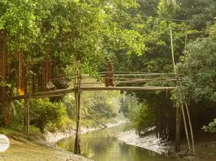 You have never seen such a bamboo bridge