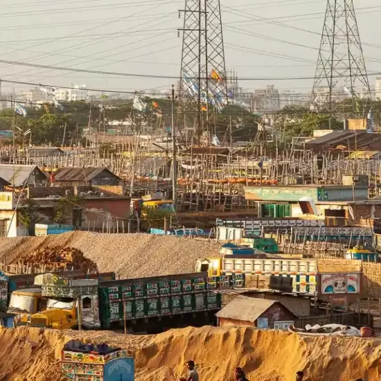 a photographer should not miss Gabtoli terminal and cattle market in dhaka