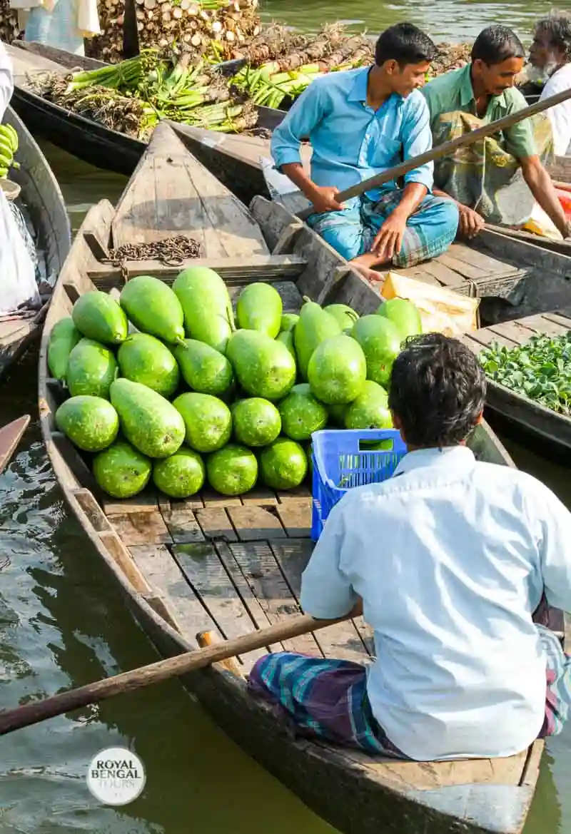 backwater trip and canal cruise in Bangladesh