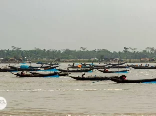 climate change effects on the people around sundarban forest