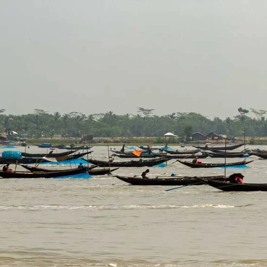 climate change effects on the people around sundarban forest