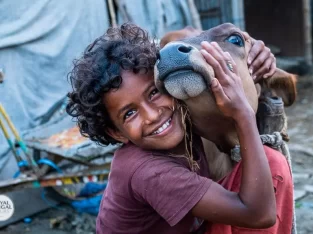 emotional moment of a little girl with her pet cow in Bangladesh