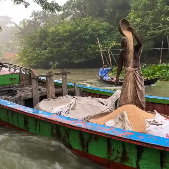 floating rice market in Bangladesh