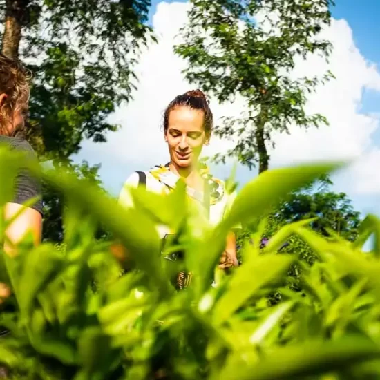 hiking through the beautiful tea estates in Sreemangal