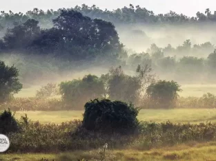 most beautiful landscape of Sundarban wildlife and bird sanctuary