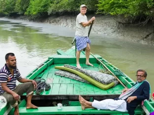 row boat is the best way to explore creeks of sundarban