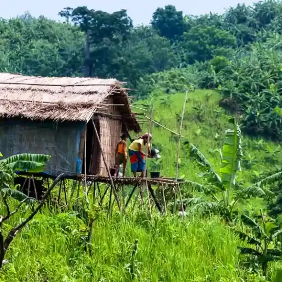 seasonal jhum house for agriculture in Chittagong Hill Tracts