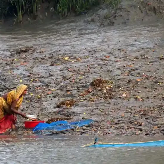 shrimp fry catching community around sundarban forest in bangladesh