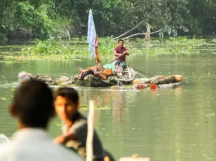 transporting wood logs using the water current in Bangladesh