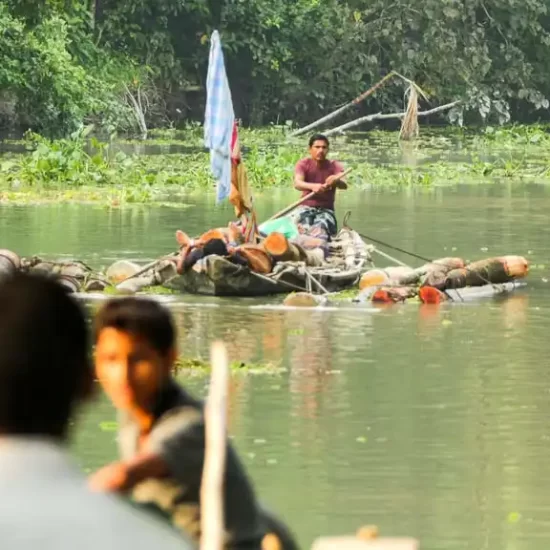 transporting wood logs using the water current in Bangladesh