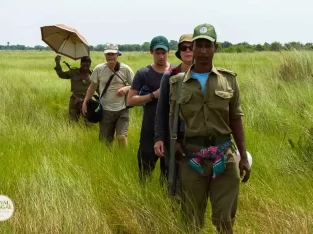 walking through the deep of sundarban fores with armed guards