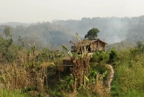 Swidden agriculture or Jhum house for cultivation and harvesting the crops