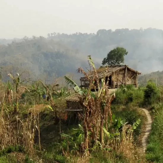 Swidden agriculture or Jhum house for cultivation and harvesting the crops