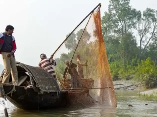 Otter fishermen risks their life for fishing inside sundarban forest